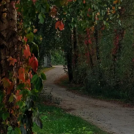 Siedlisko Konradowka Olecko